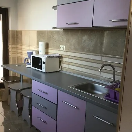 Poarta Sarutului Apartment Sat Vacanta アパート