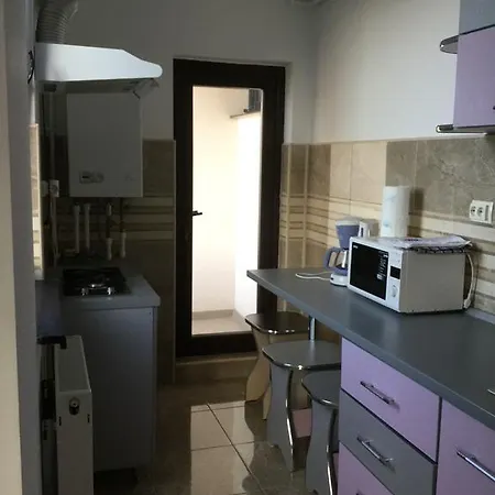 Poarta Sarutului Apartment Sat Vacanta アパート コンスタンツァ
