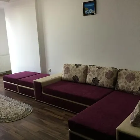 Poarta Sarutului Apartment Sat Vacanta アパート